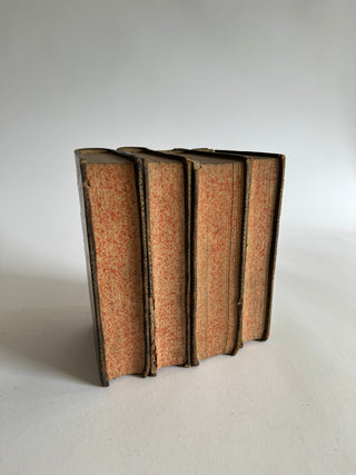 Antique set of 4 French leather books